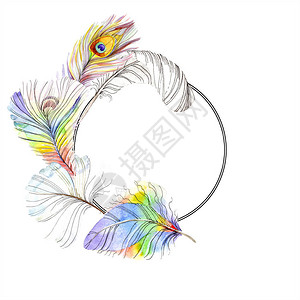 鹅黄底黑点边框五颜六色的鸟羽毛从孤立的翅膀框架或边框的水彩画羽毛水彩背景插图集水彩画时尚水彩画框架插画
