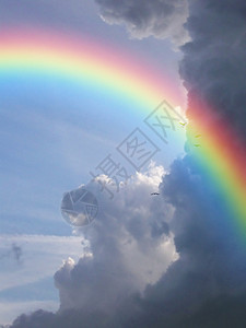 彩虹在一群鸟的面前在云图片