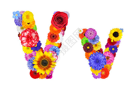 花的字母V以白色分隔信由许多色彩多且原图片