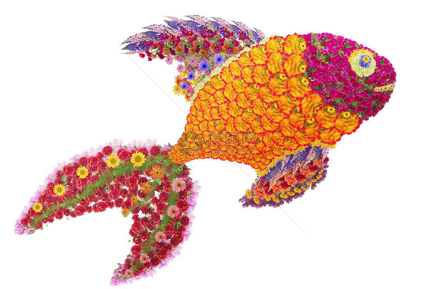 抽象的金鱼是由鲜夏花制成的图片