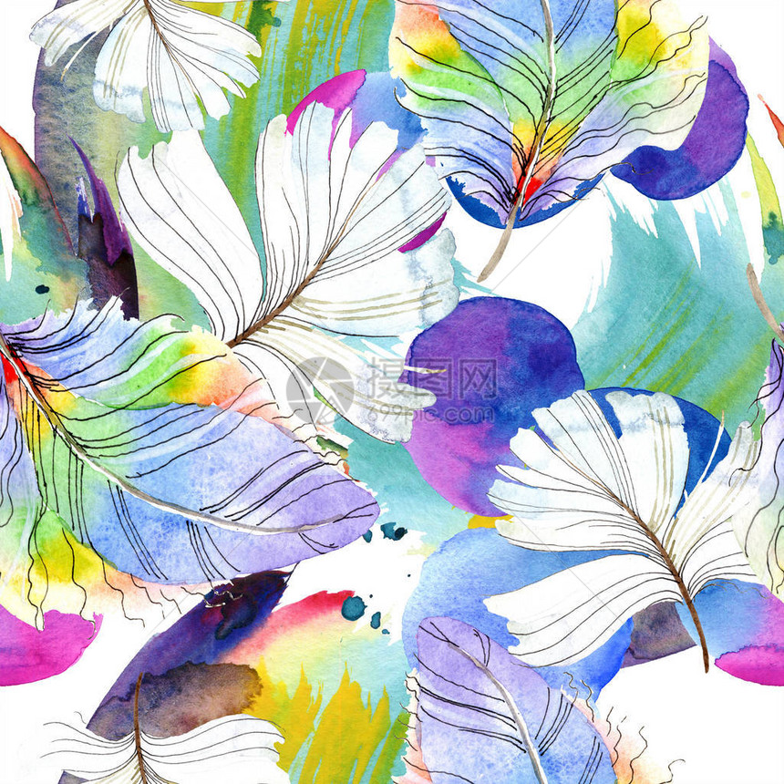 五颜六色的鸟羽毛从孤立的水彩背景插图集水彩画时尚水彩画孤立无缝背景图案织物图片