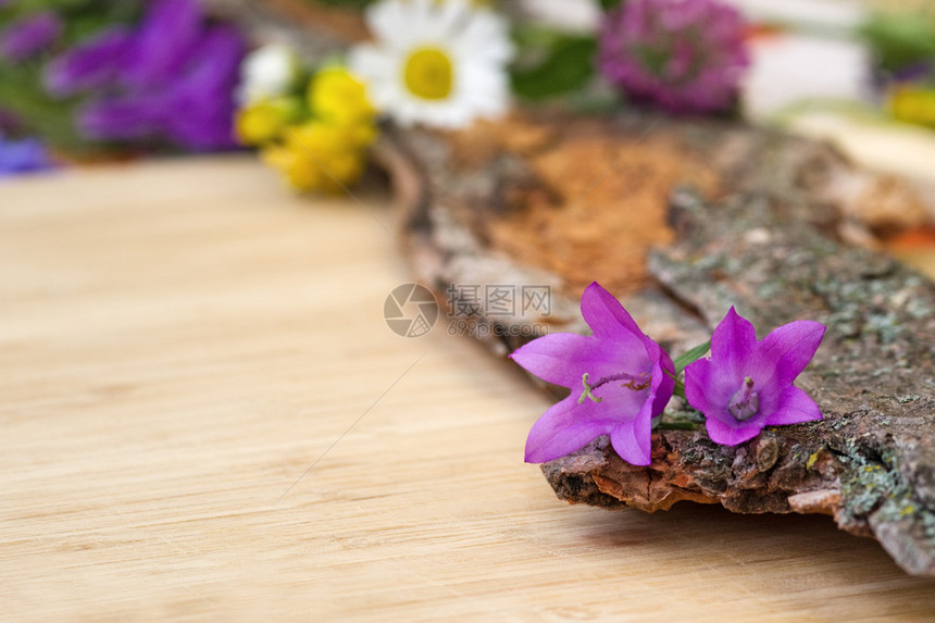 关闭旧木皮上的紫色铃花图片