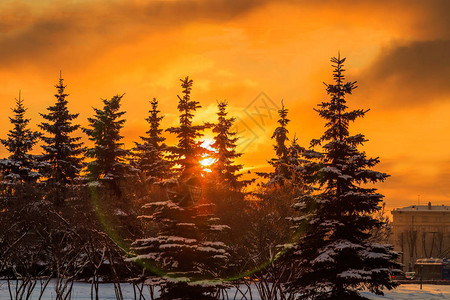 冬天黎明时分在圣彼得堡的街道图片