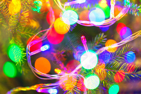 圣诞节庆背景圣诞树枝上的灯光图片