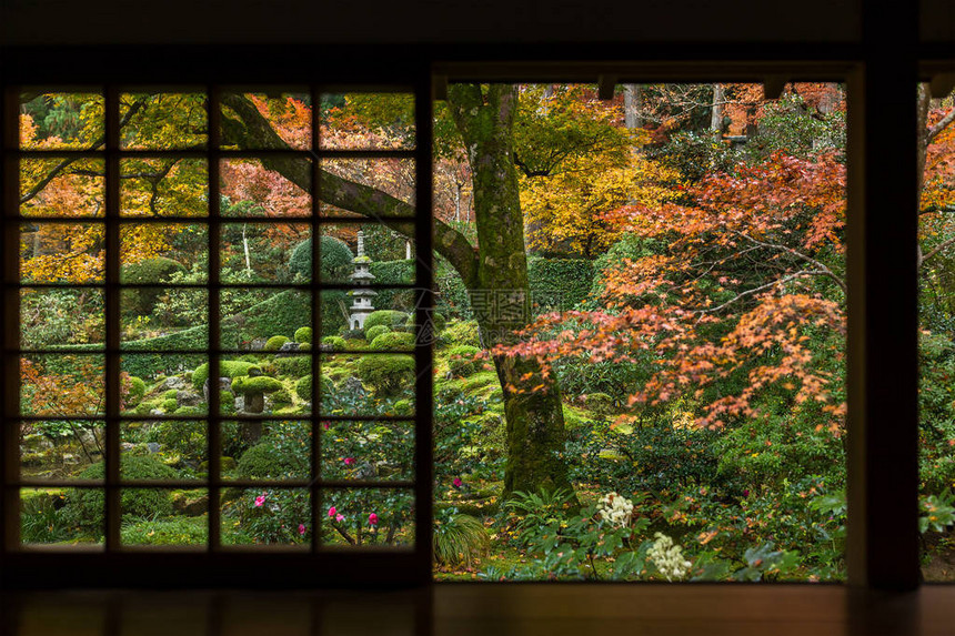 有枫树的日本房子图片