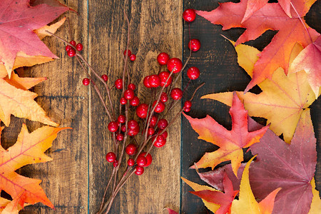 木制背景上有秋叶的圣诞红浆果背景图片