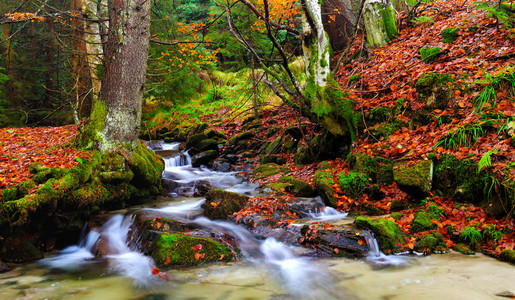 秋天风景山河和树图片