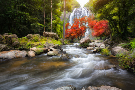 秋季的瀑布背景图片