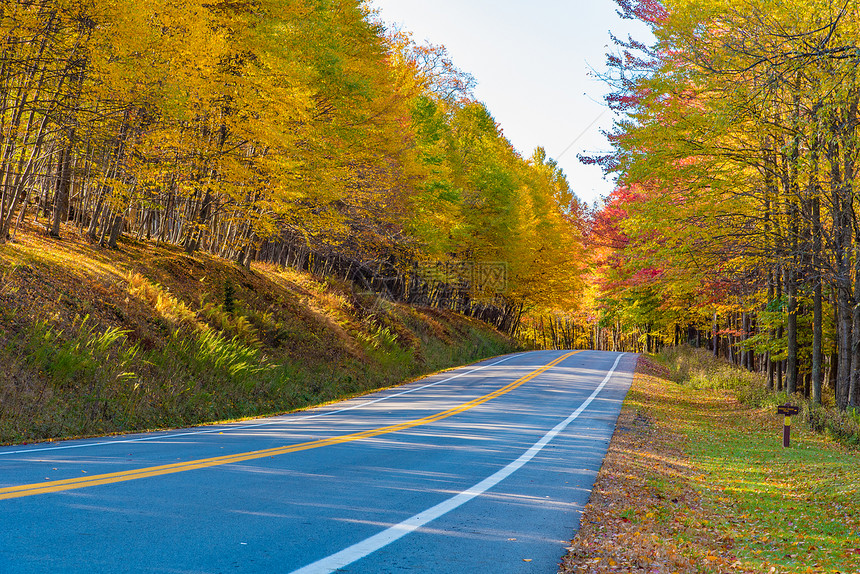秋天穿过森林的乡村公路图片