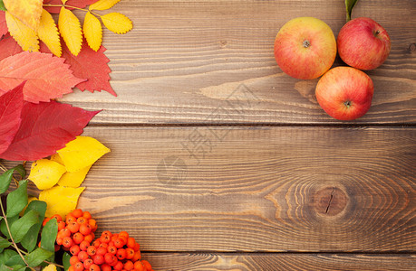 秋叶浆和苹果覆盖木本背景图片