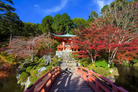 京都醍醐寺的红桥和神社与秋叶花园关西秋季著名的旅图片