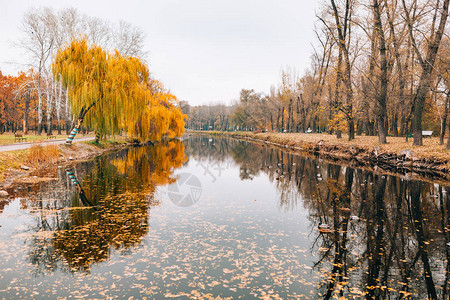 秋天的秋湖图片