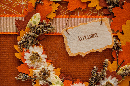用树叶和标签的秋天风景图片