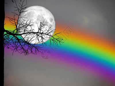 夜空中的满月和彩虹背面圆周光树干棕榈树图片