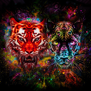 颜色多彩的老虎和豹黑图片