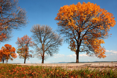 秋天蜿蜒曲折的乡间小路图片