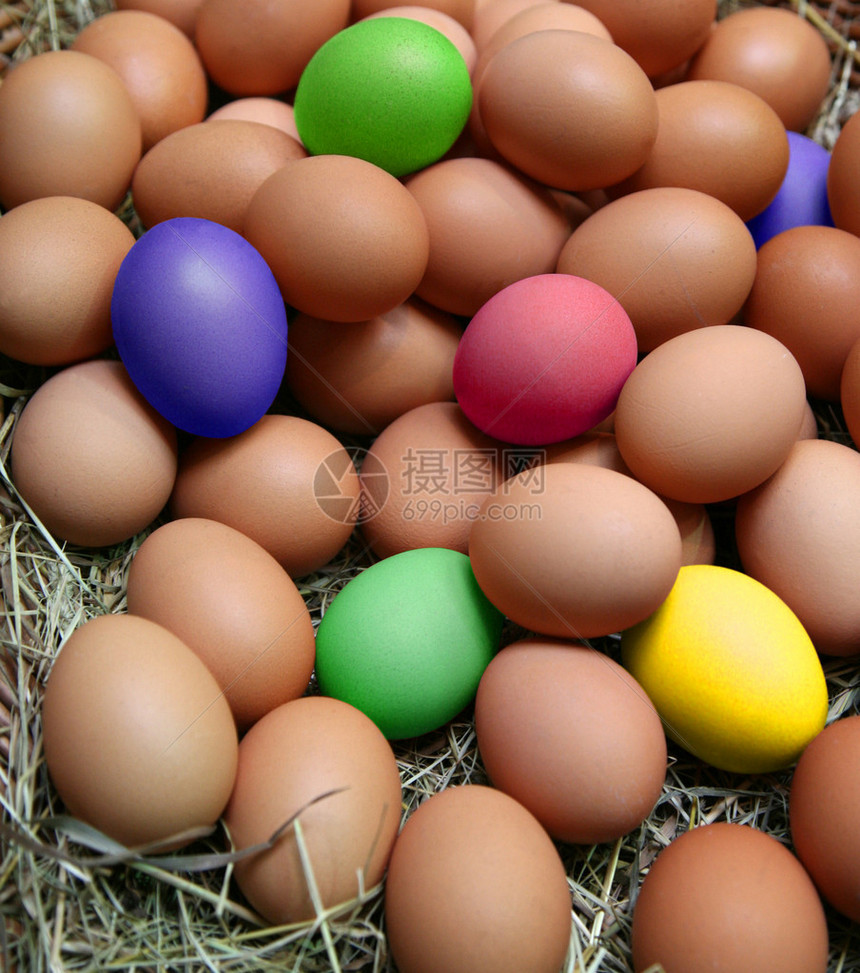 复活节鸡蛋和鸡蛋背景在带图片