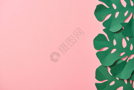 粉红背景的绿色棕榈叶顶部视图背景图片