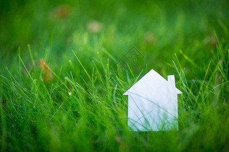 草地上的纸板房子图片