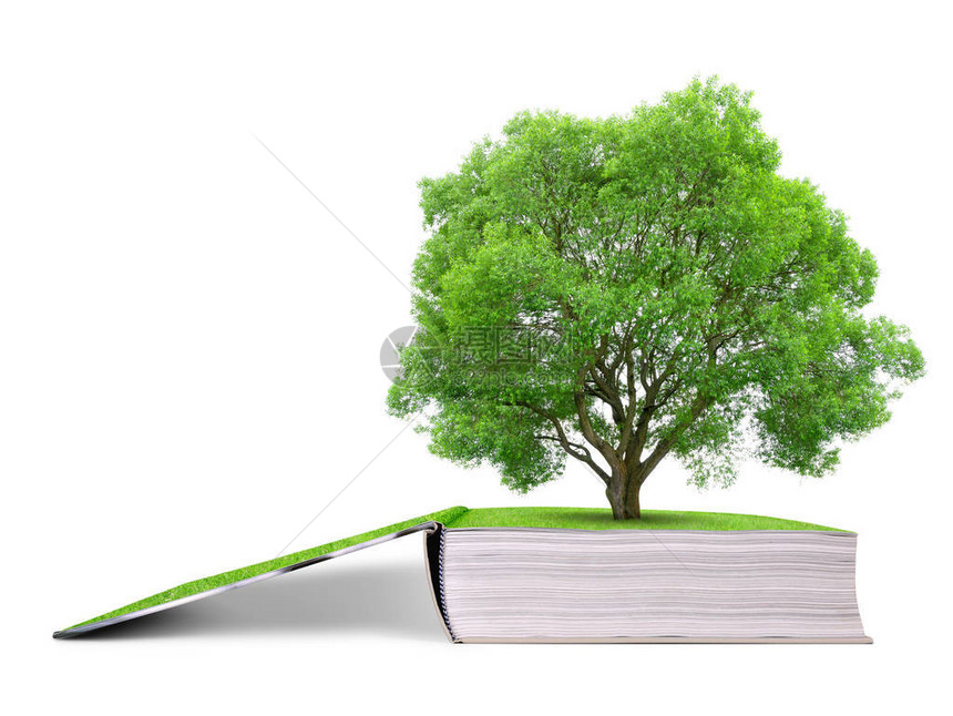 自然之书与孤立在白色背景上的树图片