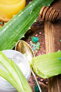 AloeVera树叶和蜂图片