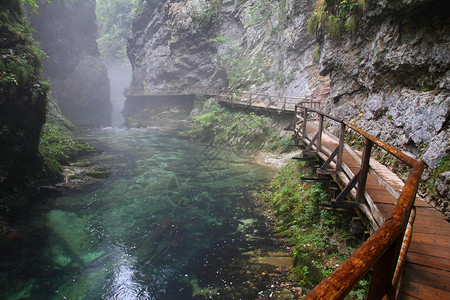 在斯洛文尼亚特里格拉夫的CanyonVintgar带绿图片