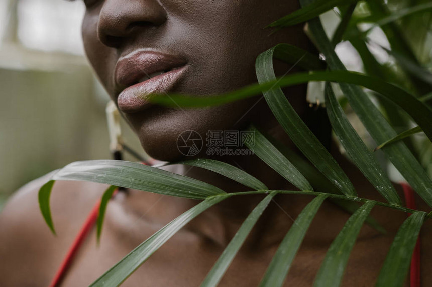 美丽的非洲裔美国女人与棕榈叶的剪影图片