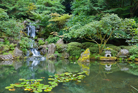 波特兰日本花园的瀑布图片