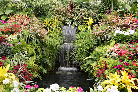 美丽的瀑布花园被鲜花环绕图片
