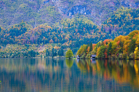 在斯洛文尼亚JulianAlps特里格拉夫公园Bohinj湖美图片