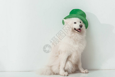 穿着绿色帽子坐在白色上坐着图片