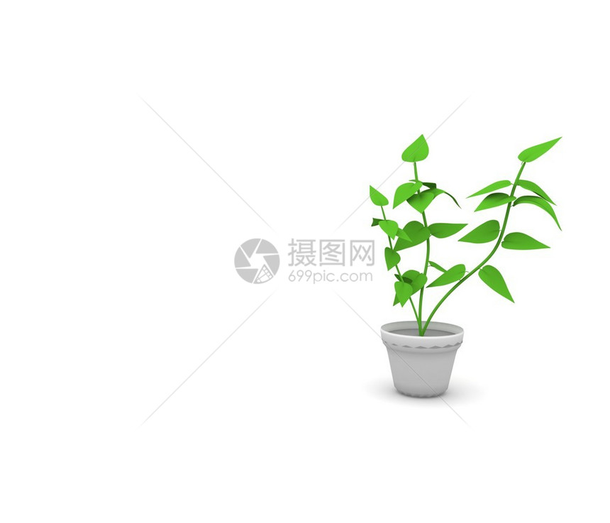 3D绿色自然植物图片