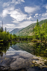 西伯利亚森林中美丽的绿雾湖布里图片