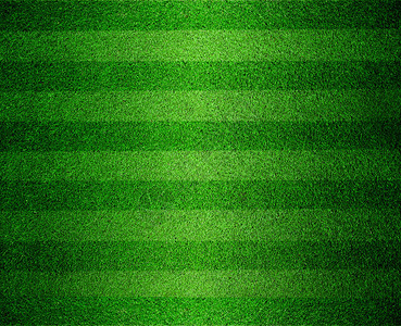 绿色衬里的足球或足球场图片