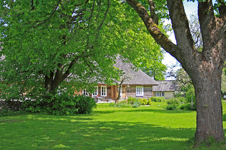 爱沙尼亚Saaremaa岛的老有名的农舍图片