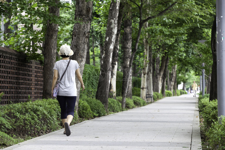 韩国首尔一名妇女走在绿树成图片