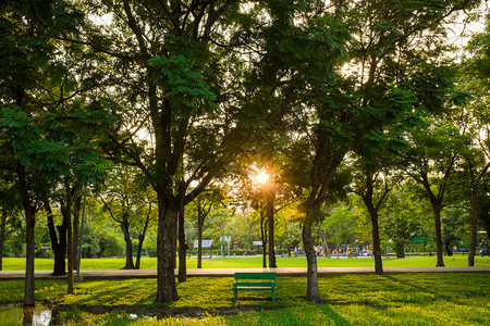 绿色城市公园日落长图片