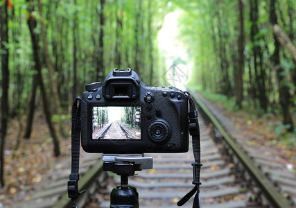 乌克兰爱情隧道森林铁路上的抽象数码单反相机插画