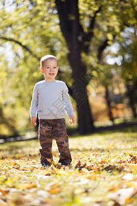 秋天公园的小男孩图片