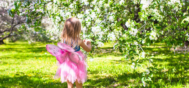 在开花的苹果树下长着蝴蝶翅膀图片