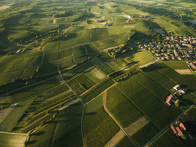 环绕农田的村庄Europe图片