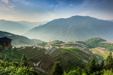 云南省梯田切入山中图片