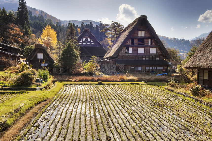 传统和历史古老的日语村图片
