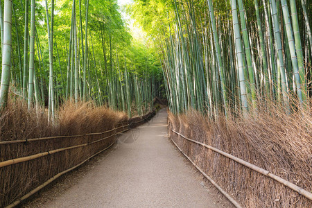 日本旅行目的地标图片