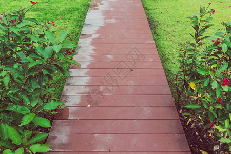 花园里雨后红褐色的木栈道图片