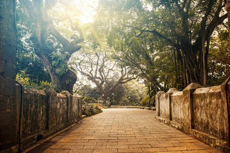 新加坡福康宁公园图片