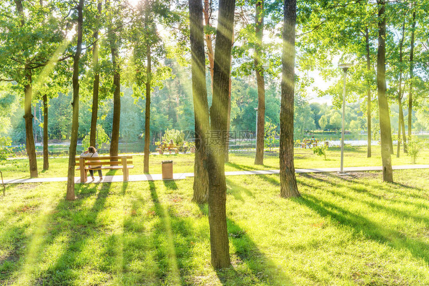 坐在美丽的阳光明媚的绿公园中的木板凳图片
