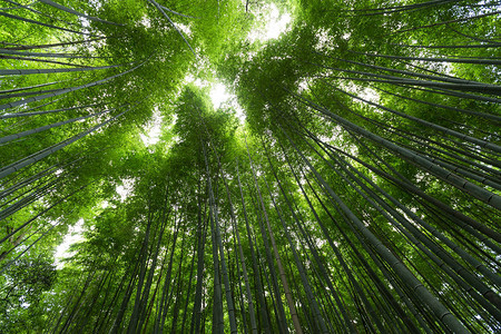 在阿拉希山带太阳图片