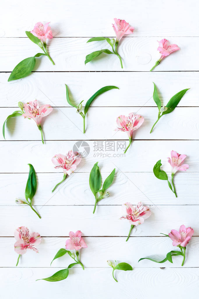 美丽的粉红兰花的顶端木图片
