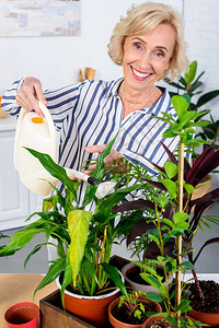 快乐的年长妇女给家用植物浇水背景图片
